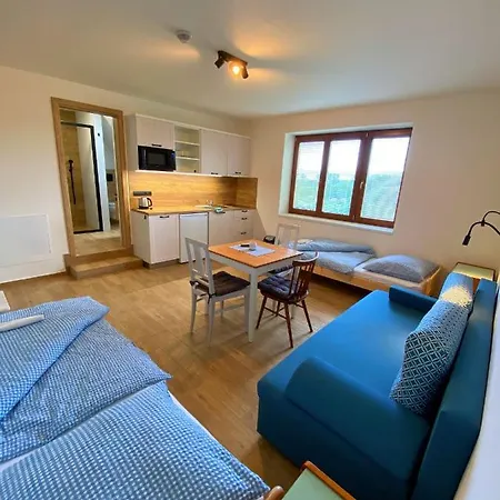 Ruzickuv Dvur Apartament *