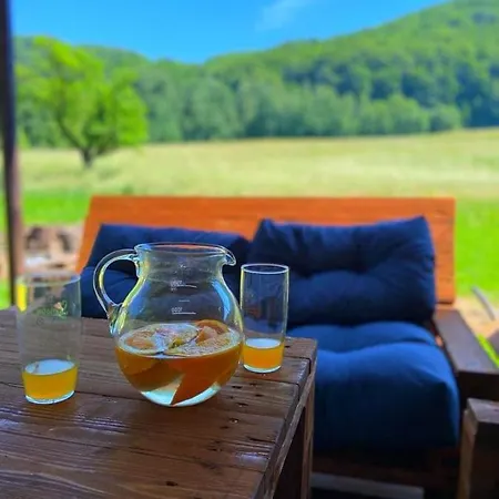 Apartament Ruzickuv Dvur Hranice (Olomouc)