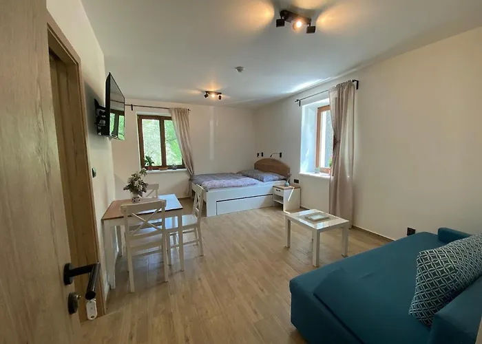 Ruzickuv Dvur Daire Hranice (Olomouc)